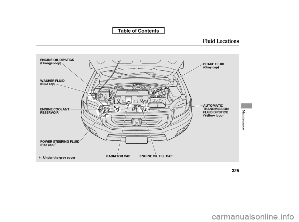 HONDA RIDGELINE 2010 1.G User Guide Î
Î
Fluid Locations
Maint enance
325
RADIATOR CAP ENGINE OIL FILL CAP
POWER STEERING FLUID 
(Red cap) AUTOMATIC
TRANSMISSION
FLUID DIPSTICK
(Yellow loop)
ENGINE COOLANT
RESERVOIR
ENGINE OIL DIPSTI