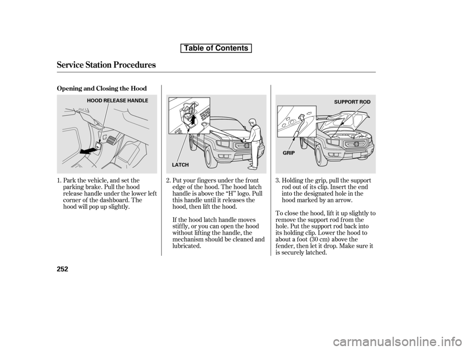 HONDA RIDGELINE 2010 1.G Owners Manual Put your f ingers under the f ront 
edge of the hood. The hood latch
handle is above the ‘‘H’’ logo. Pull
this handle until it releases the
hood, then lif t the hood.To close the hood, lif t i