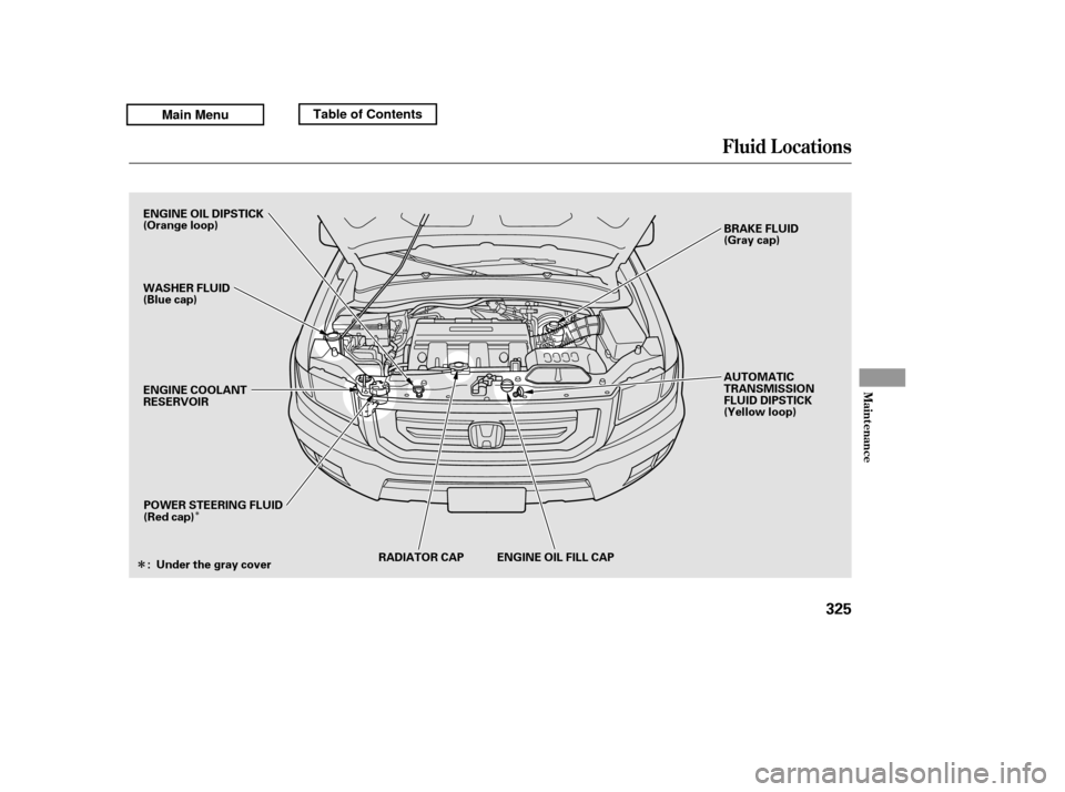 HONDA RIDGELINE 2011 1.G Owners Manual Î
Î
Fluid Locations
Maint enance
325
RADIATOR CAP ENGINE OIL FILL CAP
POWER STEERING FLUID 
(Red cap) AUTOMATIC
TRANSMISSION
FLUID DIPSTICK
(Yellow loop)
ENGINE COOLANT
RESERVOIR
ENGINE OIL DIPSTI