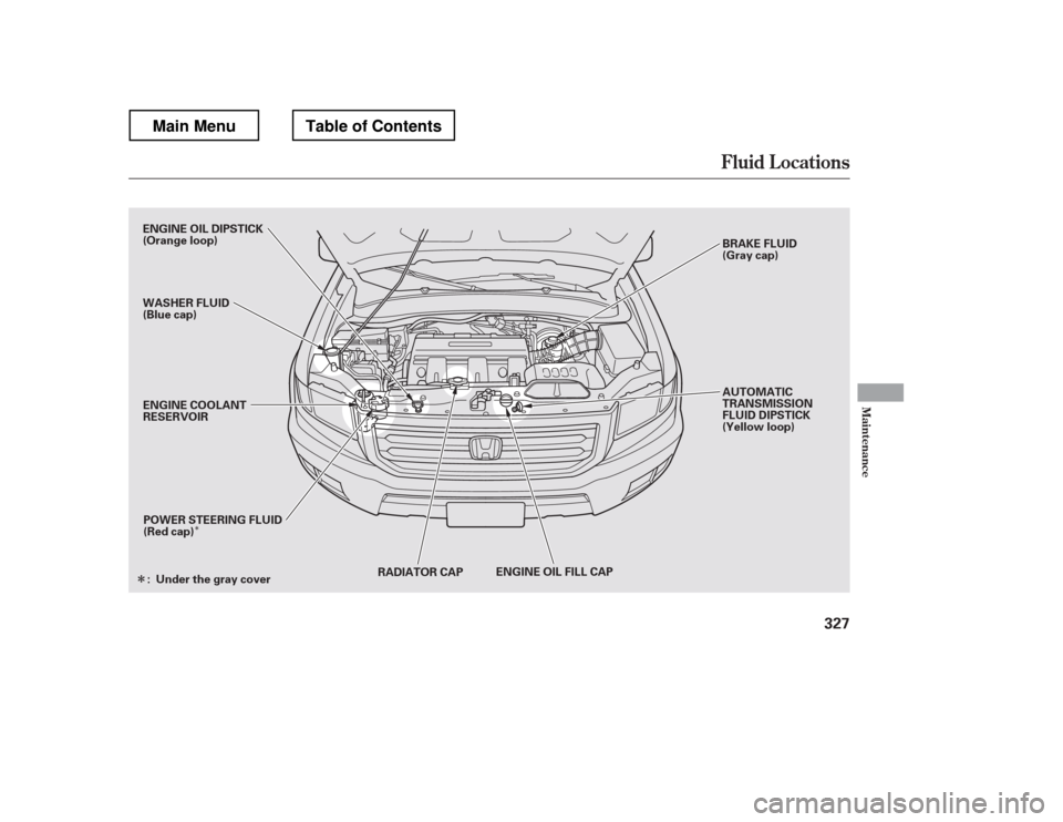 HONDA RIDGELINE 2012 1.G Owners Manual Î
Î
Fluid Locations
Maint enance
327
RADIATOR CAP ENGINE OIL FILL CAP
POWER STEERING FLUID 
(Red cap) AUTOMATIC
TRANSMISSION 
FLUID DIPSTICK
(Yellow loop)
ENGINE COOLANT
RESERVOIR
ENGINE OIL DIPST