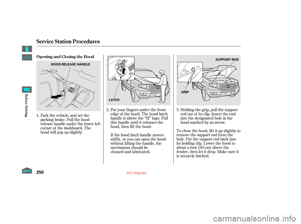 HONDA RIDGELINE 2013 1.G Owners Manual Put your f ingers under the f ront
edge of the hood. The hood latch
handle is above the ‘‘H’’ logo. Pull
this handle until it releases the
hood, then lif t the hood.To close the hood, lif t it
