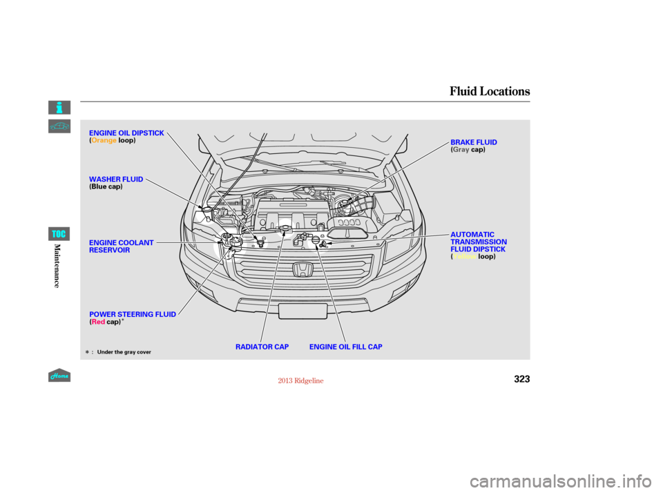 HONDA RIDGELINE 2013 1.G Owners Manual Î
Î
Fluid Locations
323
RADIATOR CAPENGINE OIL FILL CAP
POWER STEERING FLUID
(Red
cap) AUTOMATIC
TRANSMISSION
FLUID DIPSTICK
(Yellow
loop)
ENGINE COOLANT
RESERVOIR
ENGINE OIL DIPSTICK
(Orange
loop