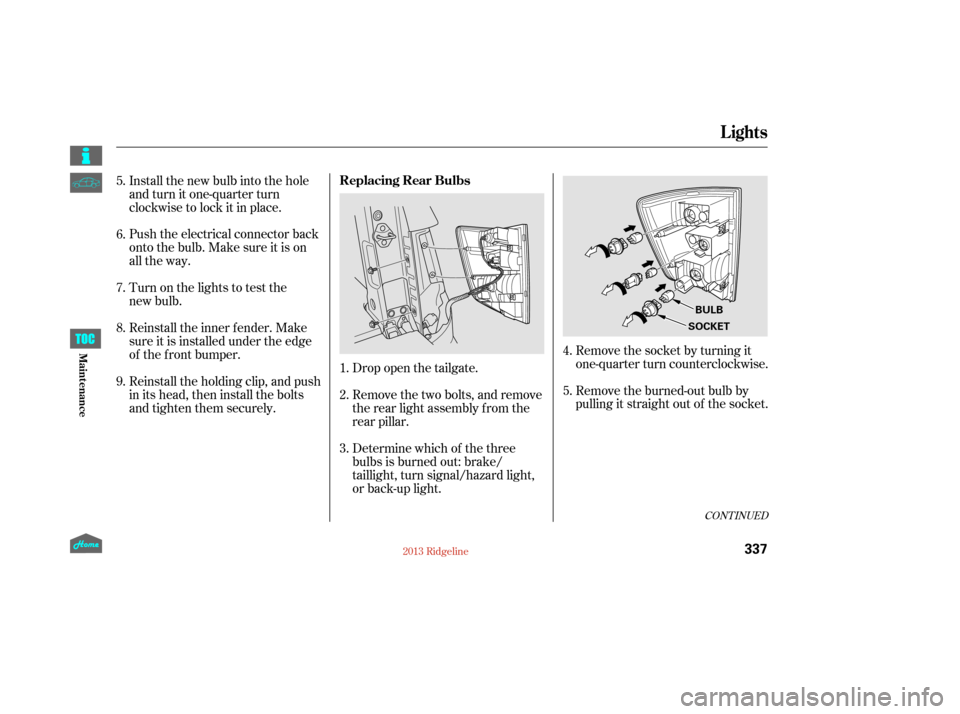 HONDA RIDGELINE 2013 1.G Owners Manual Remove the socket by turning it
one-quarter turn counterclockwise.
Remove the burned-out bulb by
pulling it straight out of the socket.
Drop open the tailgate.
Remove the two bolts, and remove
the rea HONDA RIDGELINE 2013 1.G Owners Manual Remove the socket by turning it
one-quarter turn counterclockwise.
Remove the burned-out bulb by
pulling it straight out of the socket.
Drop open the tailgate.
Remove the two bolts, and remove
the rea