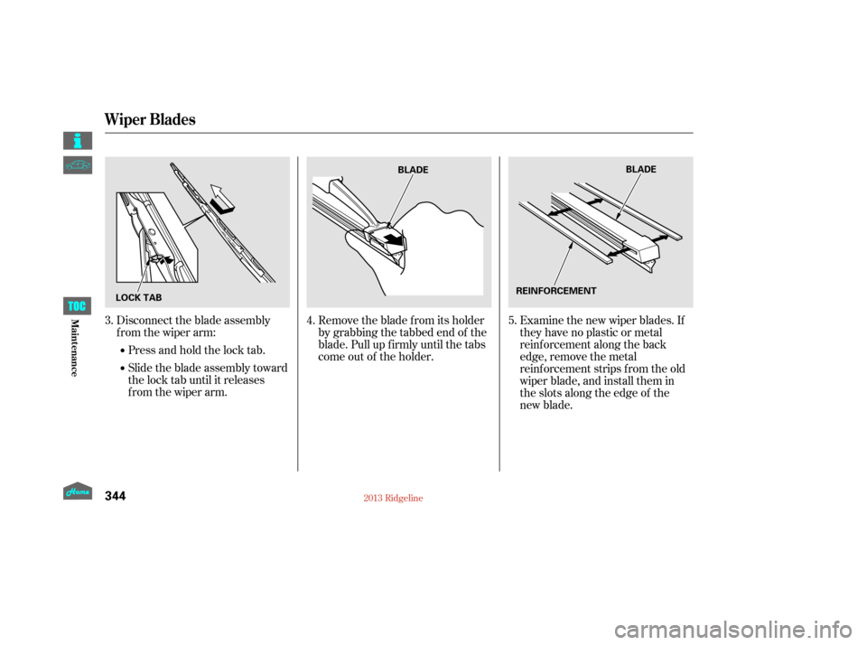 HONDA RIDGELINE 2013 1.G Owners Manual Remove the blade f rom its holder
by grabbing the tabbed end of the
blade. Pull up f irmly until the tabs
come out of the holder.Examine the new wiper blades. If
they have no plastic or metal
reinforc HONDA RIDGELINE 2013 1.G Owners Manual Remove the blade f rom its holder
by grabbing the tabbed end of the
blade. Pull up f irmly until the tabs
come out of the holder.Examine the new wiper blades. If
they have no plastic or metal
reinforc