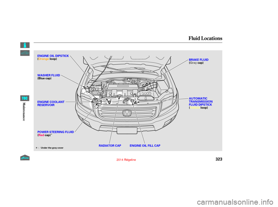 HONDA RIDGELINE 2014 1.G Owners Manual Î
Î
Fluid Locations
323
RADIATOR CAPENGINE OIL FILL CAP
POWER STEERING FLUID
(Red
cap) AUTOMATIC
TRANSMISSION
FLUID DIPSTICK
(Yellow
loop)
ENGINE COOLANT
RESERVOIR
ENGINE OIL DIPSTICK
(Orange
loop