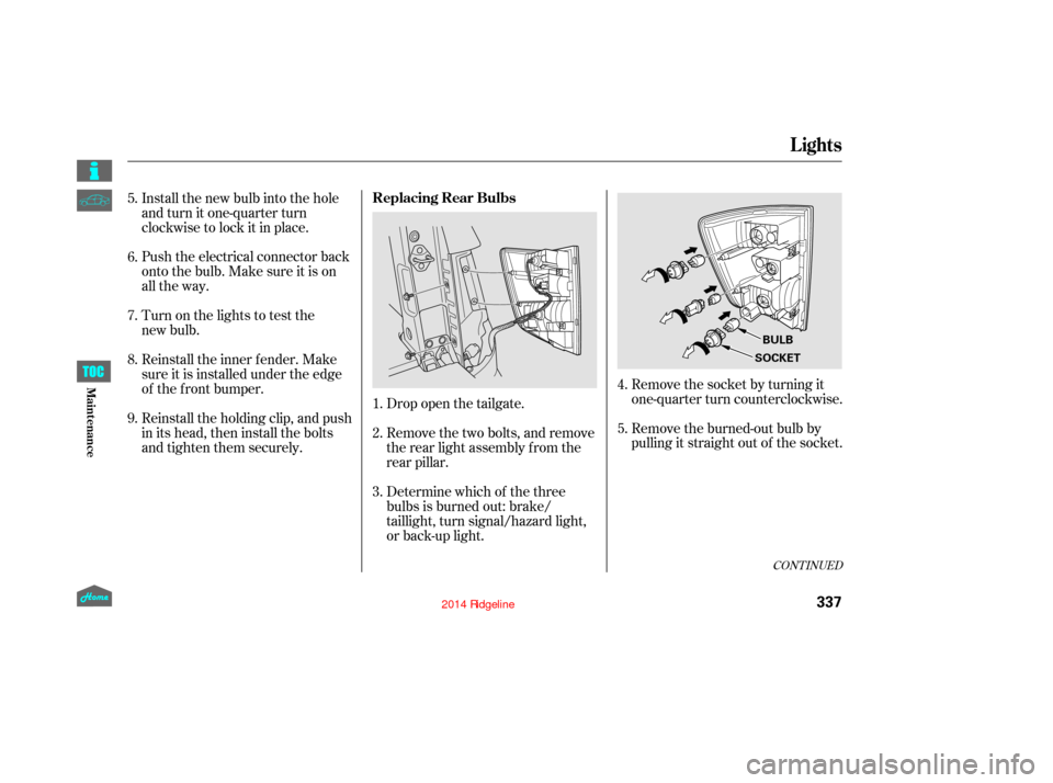 HONDA RIDGELINE 2014 1.G Owners Manual Remove the socket by turning it
one-quarter turn counterclockwise.
Remove the burned-out bulb by
pulling it straight out of the socket.
Drop open the tailgate.
Remove the two bolts, and remove
the rea HONDA RIDGELINE 2014 1.G Owners Manual Remove the socket by turning it
one-quarter turn counterclockwise.
Remove the burned-out bulb by
pulling it straight out of the socket.
Drop open the tailgate.
Remove the two bolts, and remove
the rea
