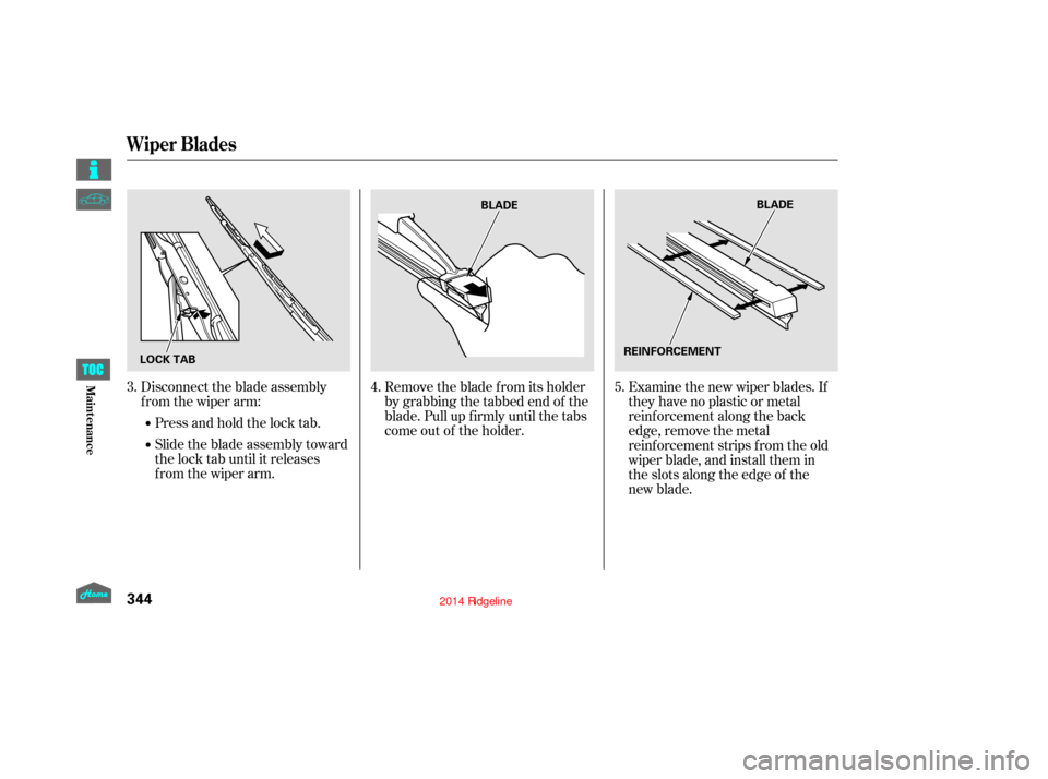 HONDA RIDGELINE 2014 1.G Owners Manual Remove the blade f rom its holder
by grabbing the tabbed end of the
blade. Pull up f irmly until the tabs
come out of the holder.Examine the new wiper blades. If
they have no plastic or metal
reinforc HONDA RIDGELINE 2014 1.G Owners Manual Remove the blade f rom its holder
by grabbing the tabbed end of the
blade. Pull up f irmly until the tabs
come out of the holder.Examine the new wiper blades. If
they have no plastic or metal
reinforc