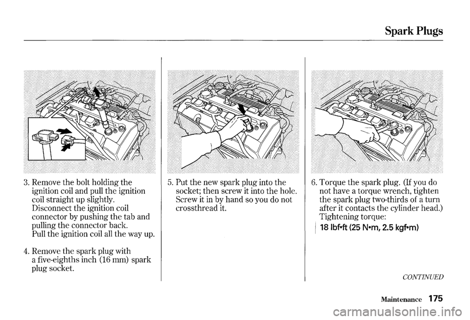 HONDA S2000 2000 1.G Owners Manual 3. Remove the bolt holding  the 
ignition  coil and  pull  the ignition 
coil  straight  up slightly. 
Disconnect 
the ignition  coil 
connector  by pushing  the tab and 
pulling  the connector  back.