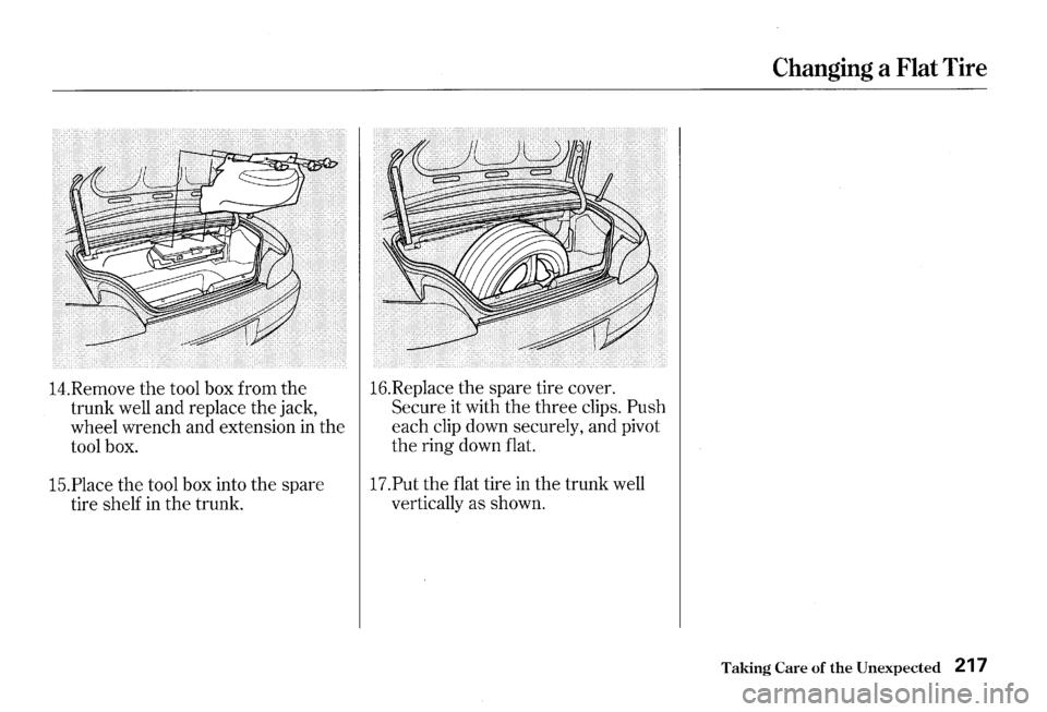 HONDA S2000 2000 1.G Owners Manual 14.Remove the tool box from the
trunk well and replace the jack,
wheel wrench and extension
in the
tool box.
15.Place the tool box into the spare
tire shelf
in the trunk. 16.Replace HONDA S2000 2000 1.G Owners Manual 14.Remove the tool box from the
trunk well and replace the jack,
wheel wrench and extension
in the
tool box.
15.Place the tool box into the spare
tire shelf
in the trunk. 16.Replace