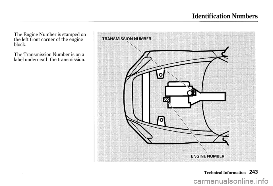 HONDA S2000 2000 1.G Owners Manual The Engine Number is stamped on
the left front corner of the engine
block.
The Transmission Number is on a
label underneath the transmission.
Identification Numbers
Technical Informatio HONDA S2000 2000 1.G Owners Manual The Engine Number is stamped on
the left front corner of the engine
block.
The Transmission Number is on a
label underneath the transmission.
Identification Numbers
Technical Informatio