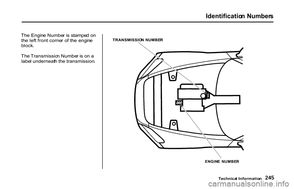 HONDA S2000 2001 1.G Owners Manual 
Identificatio
n Number s

Th e Engin e Numbe r i s  stampe d o n
th e lef t fron t corne r o f th e  engin e
block .
Th e Transmissio n Numbe r i s  o n a
labe l underneat h th e transmission .
TRANS