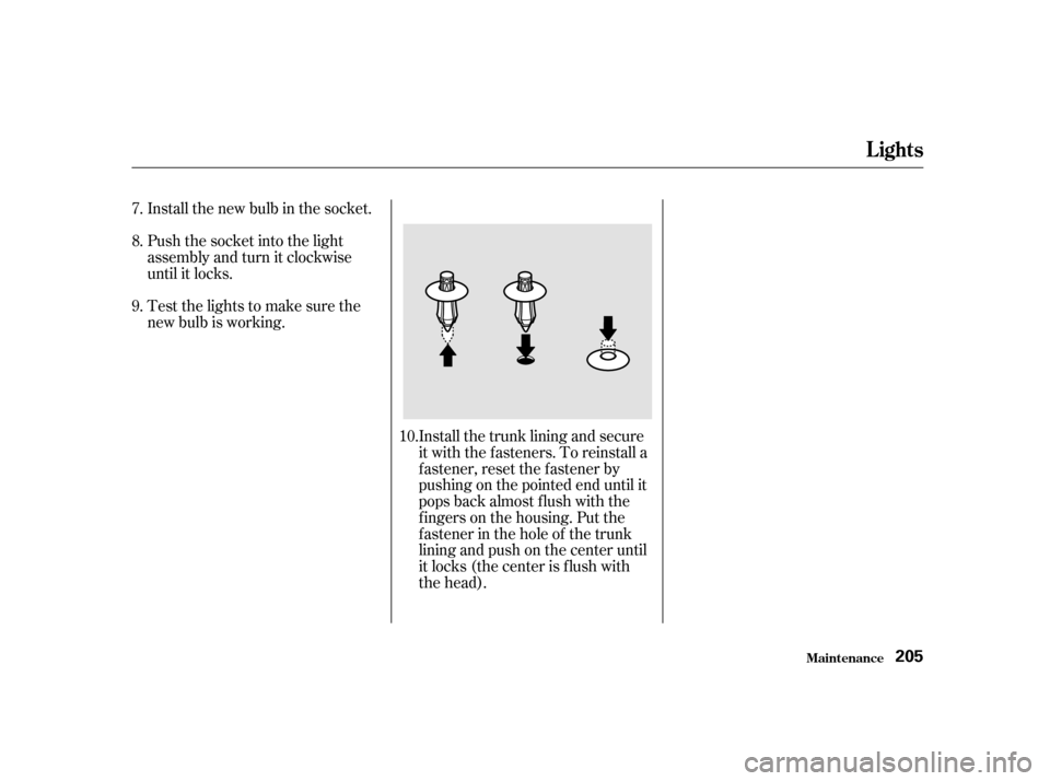 HONDA S2000 2002 1.G Owners Manual Install the new bulb in the socket. 
Testthelightstomakesurethe 
new bulb is working.
Push the socket into the light
assembly and turn it clockwise
until it locks.
Install the trunk lining and secure
