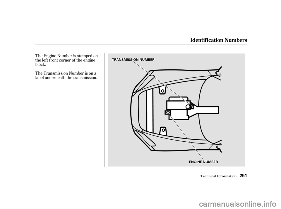 HONDA S2000 2002 1.G Owners Manual The Engine Number is stamped on 
the lef t f ront corner of the engine
block. 
The Transmission Number is on a 
label underneath the transmission.T echnical Inf ormation
Identif ication Numbers
251
TT