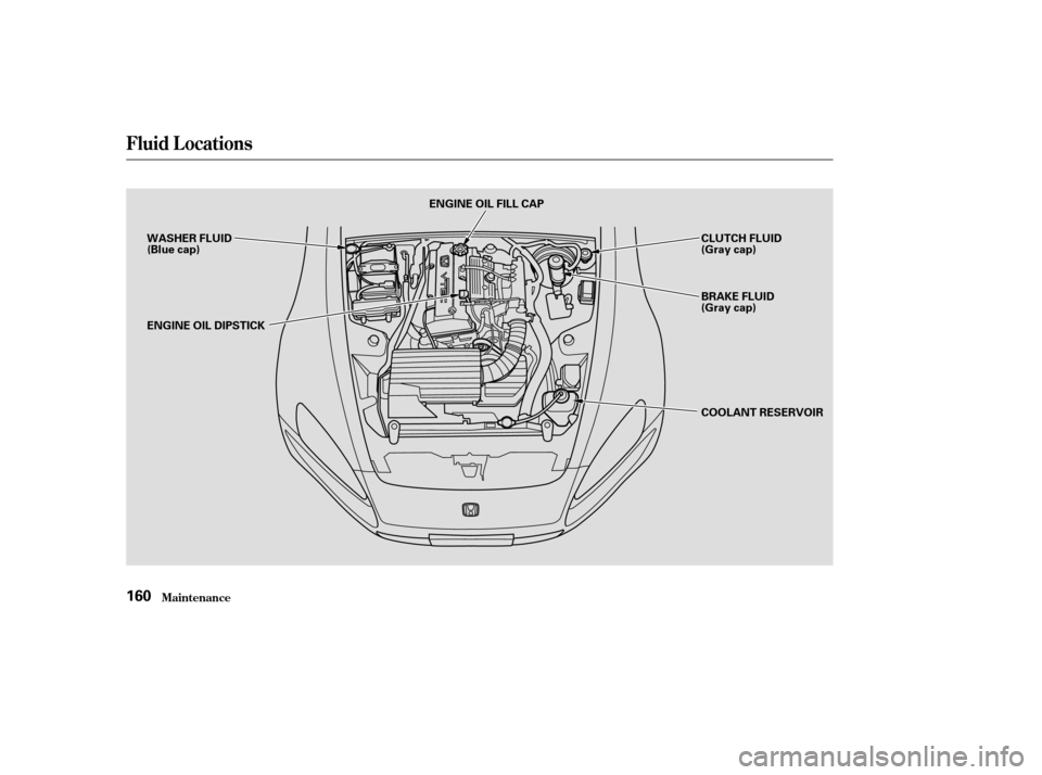 HONDA S2000 2003 1.G Owners Manual Fluid Locations
Maint enance160
WASHER FLUID
(Blue cap)
ENGINE OIL DIPSTICKENGINE OIL FILL CAP
CLUTCH FLUID
(Gray cap)
BRAKE FLUID
(Gray cap)
COOLANT RESERVOIR 