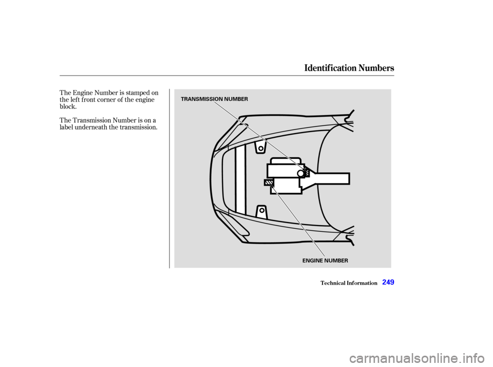 HONDA S2000 2003 1.G Owners Manual The Engine Number is stamped on
the lef t f ront corner of the engine
block.
The Transmission Number is on a
label underneath the transmission.
T echnical Inf ormation
Identif ication Numbers
249
TRAN