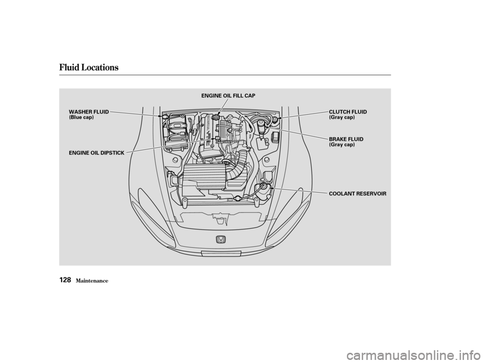 HONDA S2000 2004 2.G Owners Manual Fluid Locations
Maint enance128
WASHER FLUID
(Blue cap)
ENGINE OIL DIPSTICKENGINE OIL FILL CAP
CLUTCH FLUID
(Gray cap)
BRAKE FLUID
(Gray cap)
COOLANT RESERVOIR 