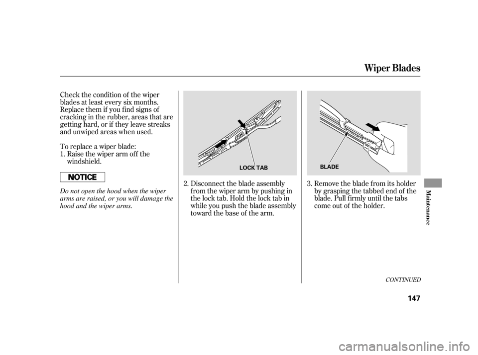 HONDA S2000 2005 2.G Owners Manual Check the condition of the wiper
blades at least every six months.
Replace them if you f ind signs of
cracking in the rubber, areas that are
getting hard, or if they leave streaks
and unwiped areas wh HONDA S2000 2005 2.G Owners Manual Check the condition of the wiper
blades at least every six months.
Replace them if you f ind signs of
cracking in the rubber, areas that are
getting hard, or if they leave streaks
and unwiped areas wh