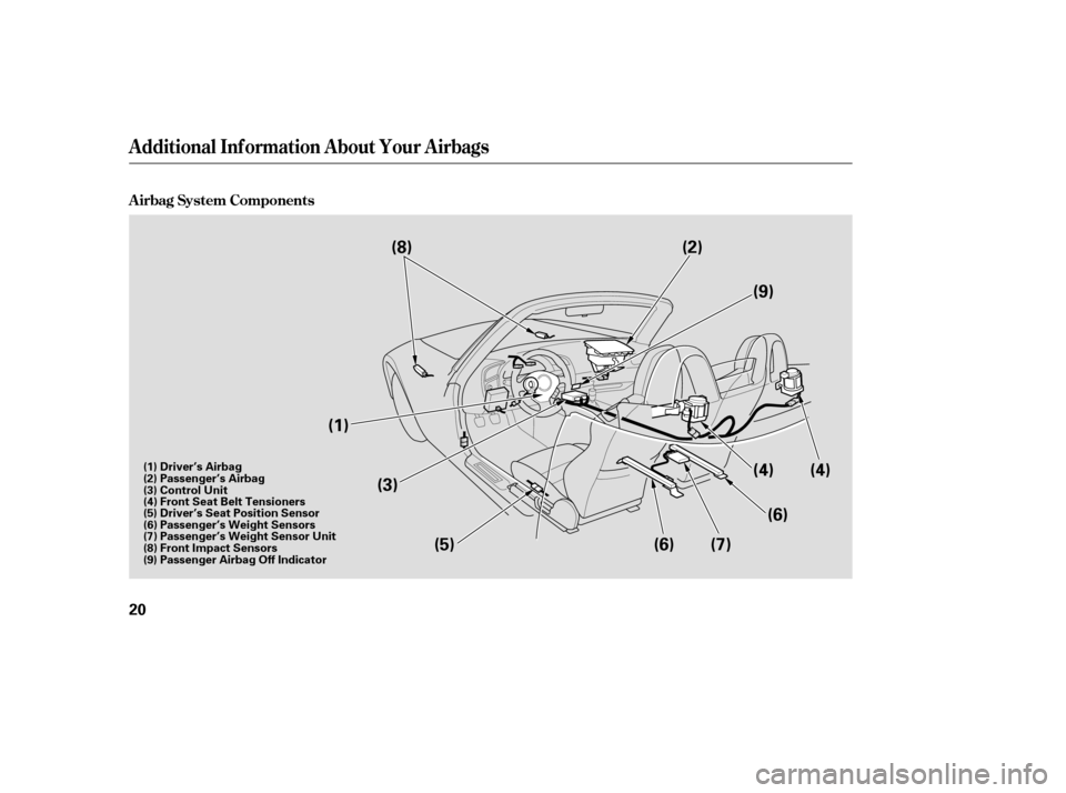 HONDA S2000 2006 2.G Owners Manual A irbag System Components
Additional Inf ormation About Your Airbags
20
(1)(2)
(3) (7)
(8)
(6)
(4)
(5) (4)
(6) (9)
(1) Driver’s Airbag
(2) Passenger’s Airbag
(3) Control Unit
(4) Front Seat Belt T