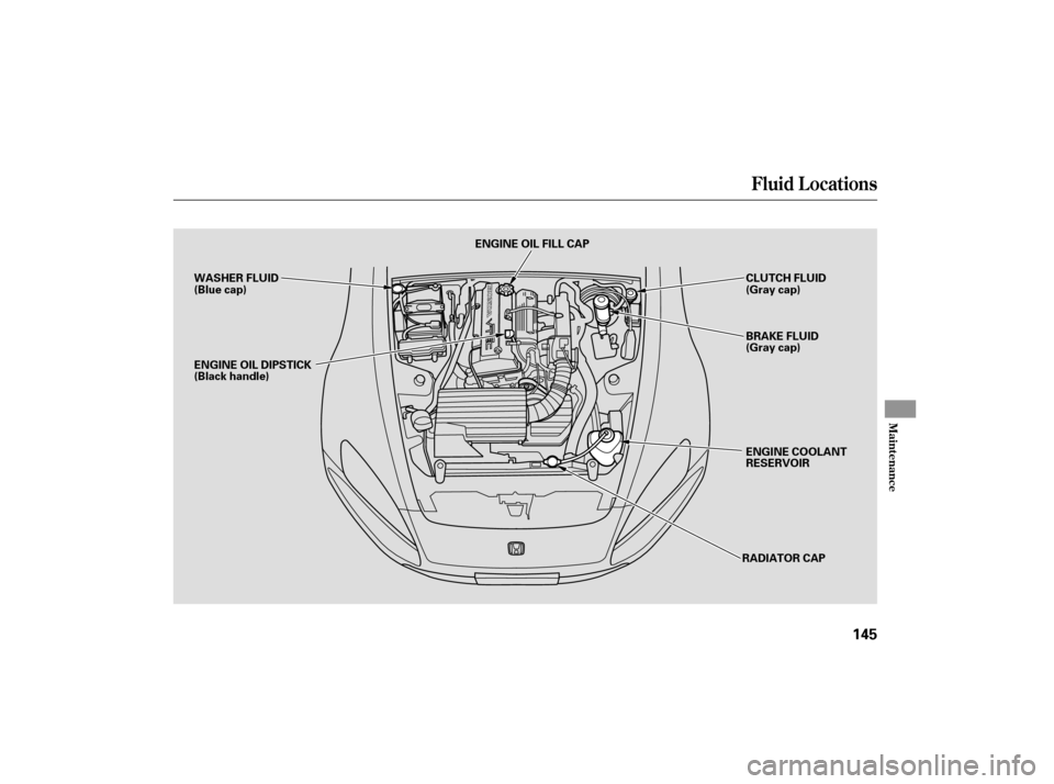 HONDA S2000 2007 2.G Owners Manual Fluid Locations
Maint enance
145
WASHER FLUID
(Blue cap)ENGINE OIL FILL CAP
CLUTCH FLUID
(Gray cap)
BRAKE FLUID
(Gray cap)
ENGINE COOLANT
RESERVOIR
ENGINE OIL DIPSTICK
(Black handle)
RADIATOR CAP 