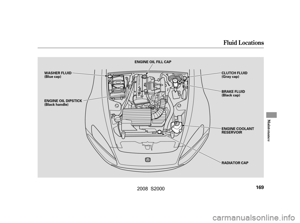 HONDA S2000 2008 2.G Owners Manual Fluid Locations
Maint enance
169
WASHER FLUID 
(Blue cap)ENGINE OIL FILL CAP
ENGINE OIL DIPSTICK
(Black handle) CLUTCH FLUID
(Gray cap) 
BRAKE FLUID 
(Black cap) 
ENGINE COOLANT 
RESERVOIR 
RADIATOR C