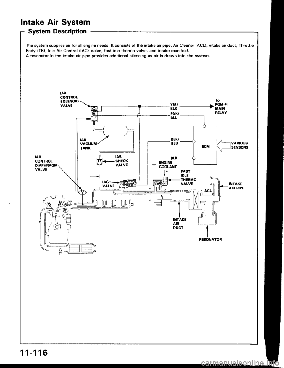 HONDA INTEGRA 1994 4.G Owners Guide Intake Air System
System Description
The system supplies air for allengine needs. lt consists of the intake air pipe, Air Cleaner (ACL), intake air duct, Throttle
Body (TB), ldle Air Control {lAC) Val HONDA INTEGRA 1994 4.G Owners Guide Intake Air System
System Description
The system supplies air for allengine needs. lt consists of the intake air pipe, Air Cleaner (ACL), intake air duct, Throttle
Body (TB), ldle Air Control {lAC) Val