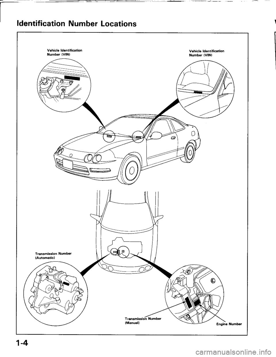 HONDA INTEGRA 1994 4.G Workshop Manual III
ldentification Number Locations
S
Vehicle ldontif icationNumber lvlNlv.hiclo ldontif icalionNumb€r lVlNl
Transmbsion Numbor
lAuromatic)
Transmissioh l\lumbor
lManuall
1-4 