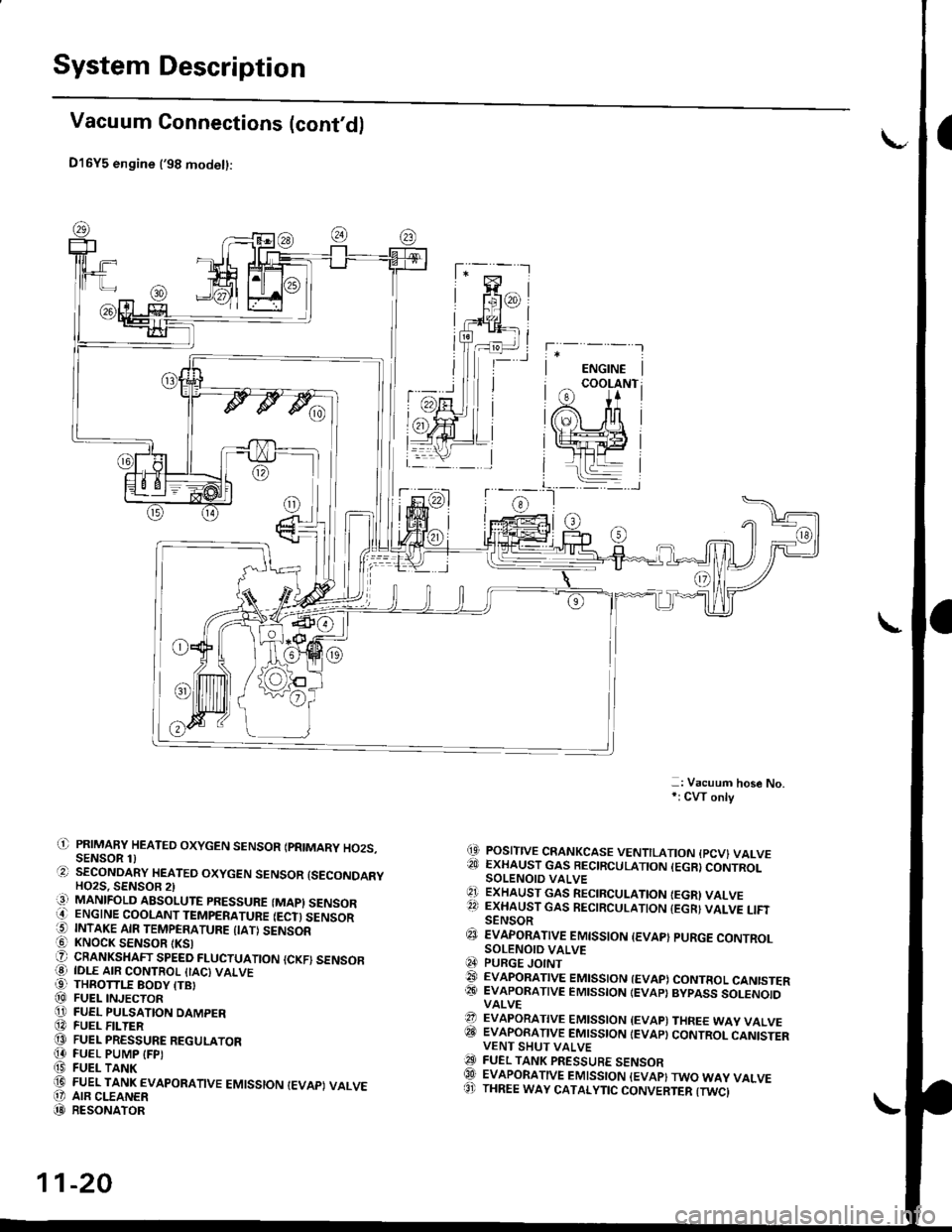 HONDA CIVIC 1999 6.G Repair Manual System Description
Vacuum Connections (contd)
D16Y5 engine (98 modet):
-: Vacuum hose No,*: CW only
(9 POSITIVE CRANKCASE VENTILATION {PCV} VALVE?!J EXHAUST GAS BECIRCULATION (EGR}CONTROLSOLENOIO VA