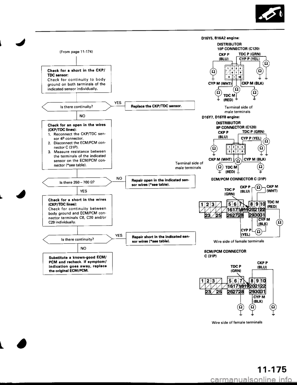 HONDA CIVIC 1996 6.G Workshop Manual Dl6Y5.816A2 engine:
DISTRIEUTOR
Terminal side olmale terminals
016Y7, Dt6Y8 engine:
DISTRIBUTOR8P CONNECTOR (Cl201
Terminal side olmale terminals
CKP MIWHT}
lDC M(REDI
ECM/PCM CONNECTORc l31P)
wire si