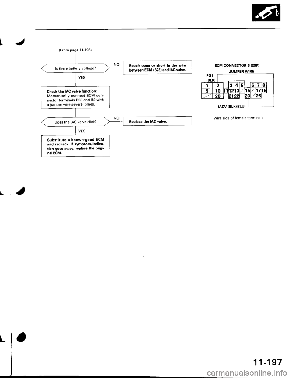 HONDA CIVIC 1998 6.G Workshop Manual t
I
{From page 11-196)
Repair opon or short in lhe wire
between EcM lBzl) and lAc valve.ls there battery voltage?
Check the IAC valve fundion:Momentarily connect ECM con-
nector terminals 823 and 82 w HONDA CIVIC 1998 6.G Workshop Manual t
I
{From page 11-196)
Repair opon or short in lhe wire
between EcM lBzl) and lAc valve.ls there battery voltage?
Check the IAC valve fundion:Momentarily connect ECM con-
nector terminals 823 and 82 w