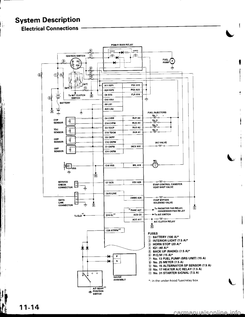 HONDA INTEGRA 1998 4.G User Guide System DescriPtion
Electrical Connections
FUELINECTOHS
EVAP COIiTIBOL CANISTEAvE|rISHUT VAIVE
sotENoto vaLvE
lo FAOIAIOB FAN FELAY,CONOEI{SEh FAN FELAY
FUSESr-1) BATTERY {100 A)*
€) INTERIOF LIGHT 