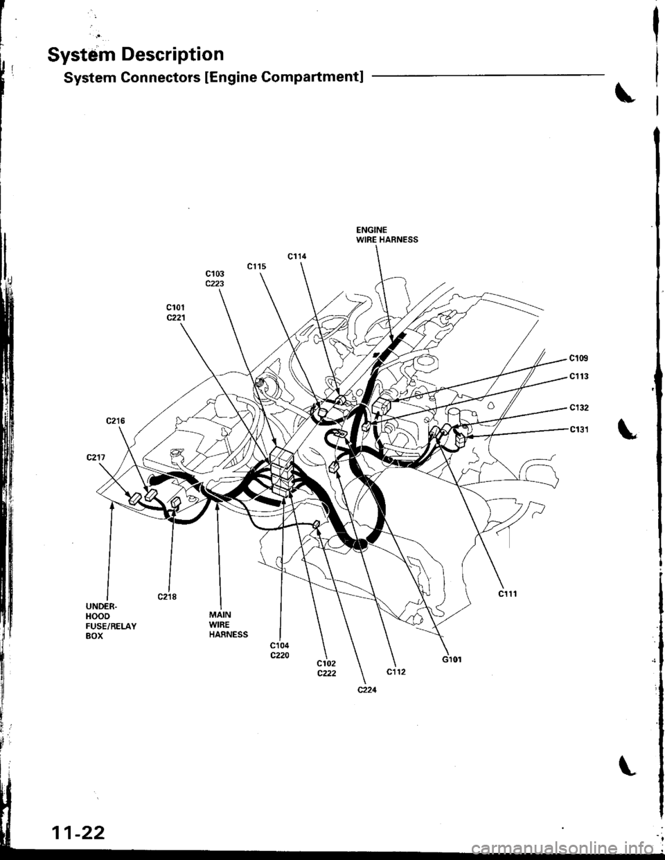 HONDA INTEGRA 1998 4.G Workshop Manual System Description
System Gonnectors IEngine Compartment]
\
c1G)
c113
c132
cr31 L
UNDER.t{ooDFUSE/RELAYBOX
MAINWIREHARNESS
WIRE HARNESS
11-22 