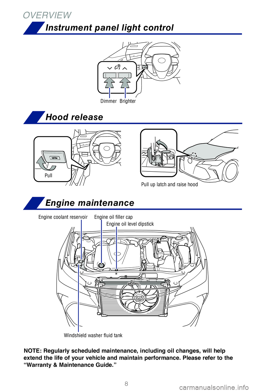 TOYOTA AVALON 2019  Owners Manual (in English) 8
OVERVIEWFEATURES & OPERATIONS
NOTE: Regularly scheduled maintenance, including  
oil changes, will help 
extend the life of your vehicle and maintain performance. Please refer to the 
“Warranty & 