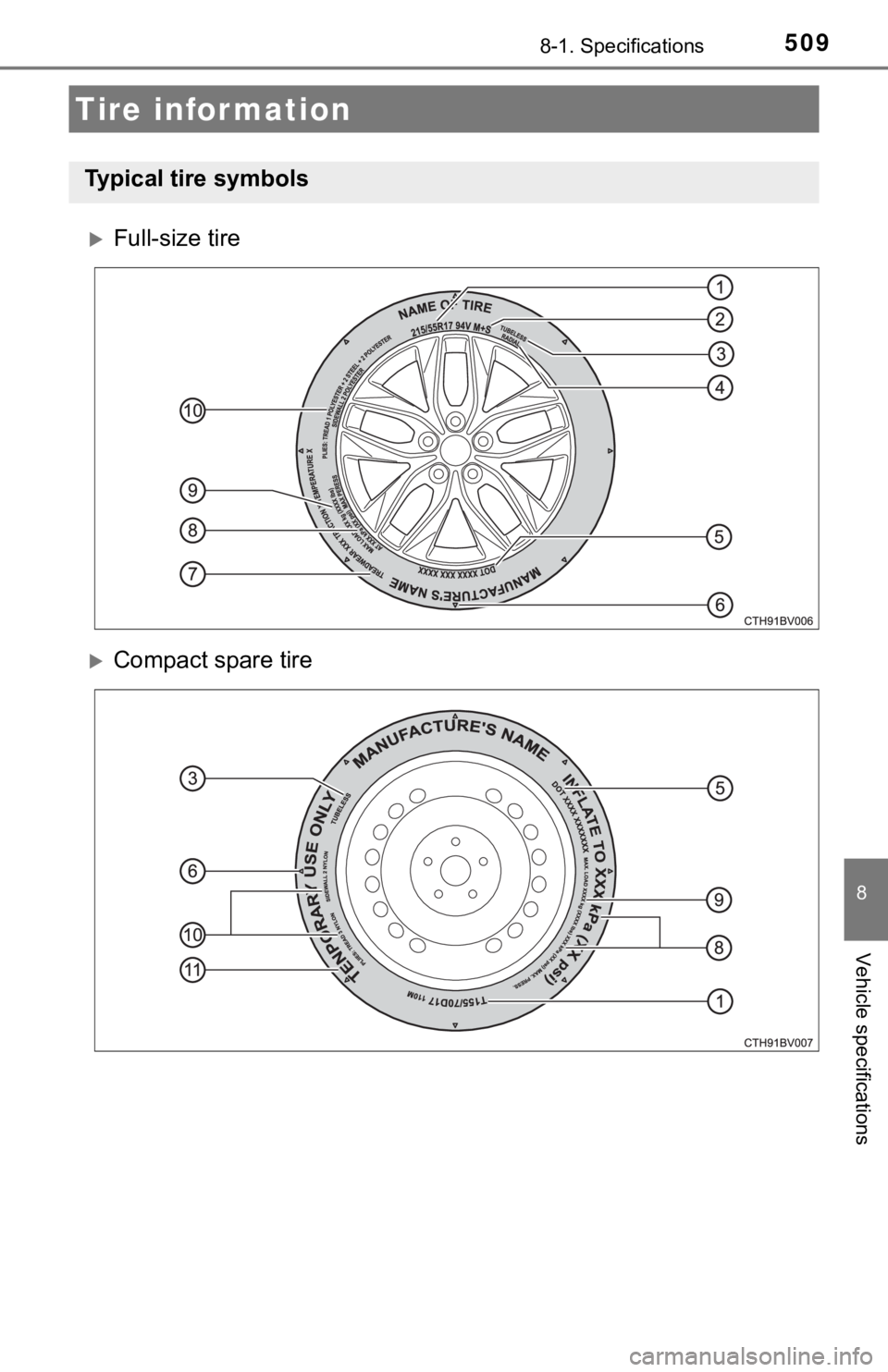 TOYOTA AVALON HYBRID 2019  Owners Manual (in English) 5098-1. Specifications
8
Vehicle specifications
Full-size tire
Compact spare tire
Tire information
Typical tire symbols 