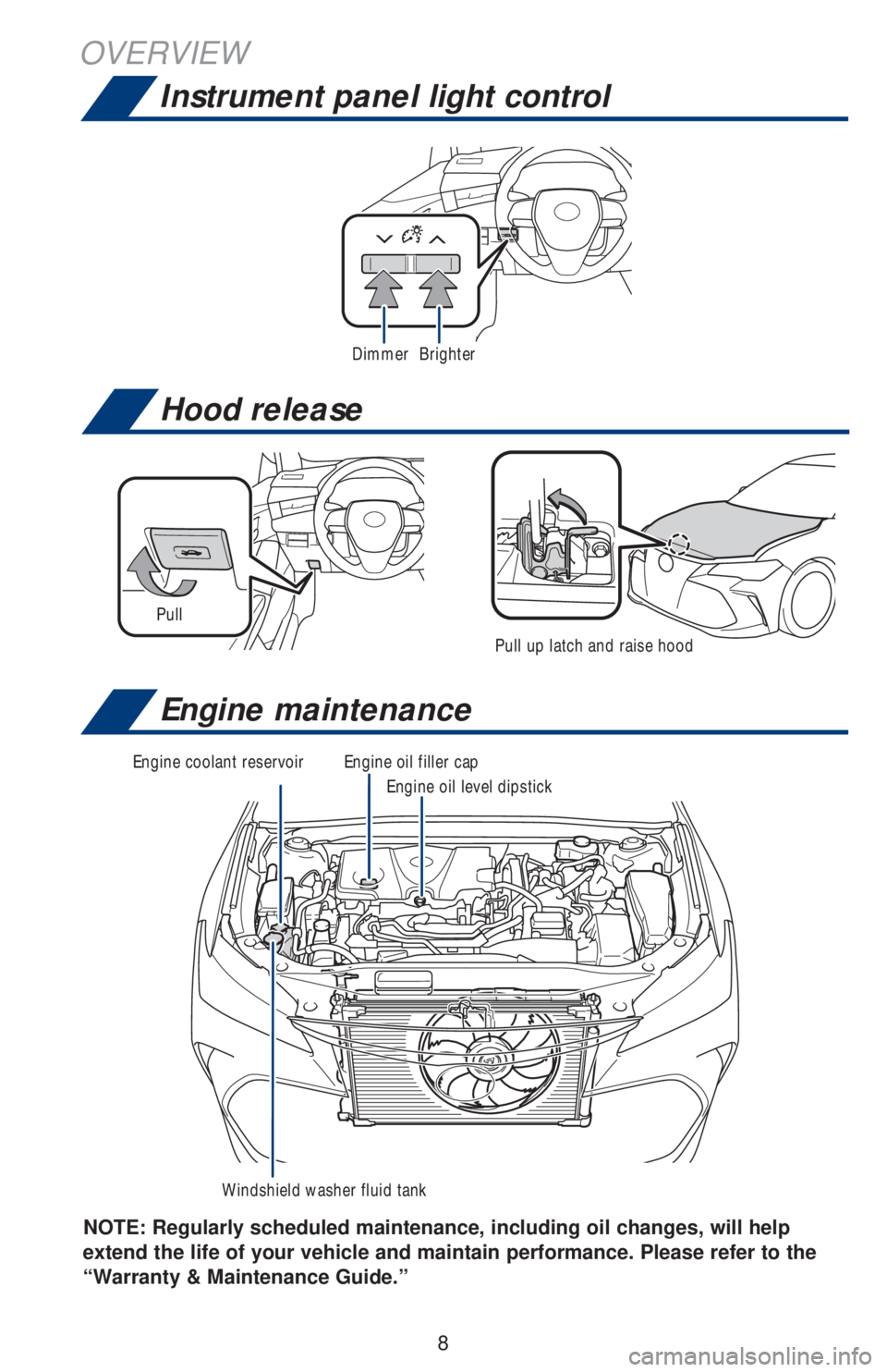 TOYOTA AVALON HYBRID 2019  Owners Manual (in English) 8
OVERVIEW
NOTE: Regularly scheduled maintenance, including  oil changes, will help 
extend the life of your vehicle and maintain performance. Please refer to the 
“Warranty & Maintenance Guide.”
