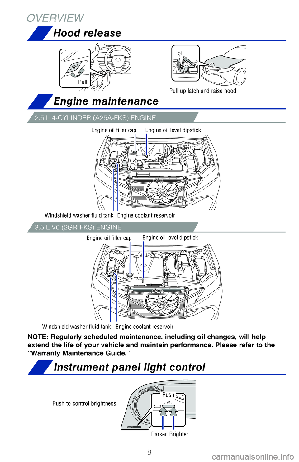 TOYOTA CAMRY 2020  Owners Manual (in English) 8
OVERVIEWHood release
Engine maintenance
Instrument panel light control
NOTE: Regularly scheduled maintenance, including oil changes, will help 
extend the life of your vehicle and maintain performan