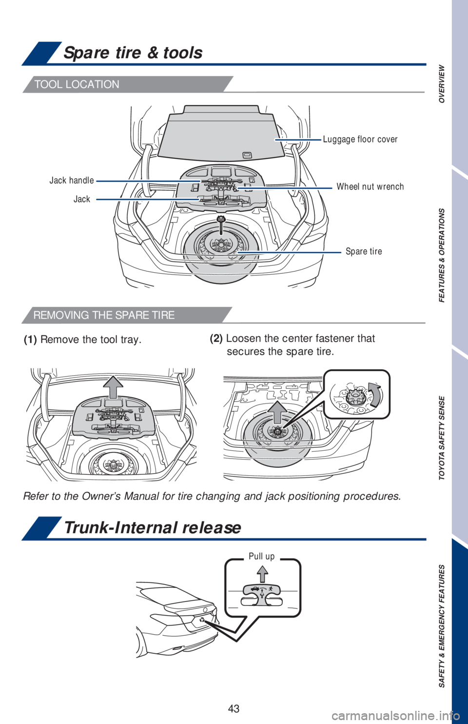 TOYOTA CAMRY 2020   (in English) Service Manual 43
TOOL LOCATION
REMOVING THE SPARE TIRE
Spare tire & tools
Trunk-Internal release
(1) Remove the tool tray.
Refer to the Owner’s Manual for tire changing and jack positioning procedures.(2) Loosen 