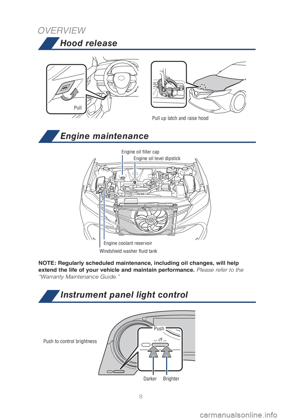 TOYOTA CAMRY HYBRID 2019  Owners Manual (in English) 8
OVERVIEWHood release
Engine maintenance
Instrument panel light control
Push to control brightness
Windshield washer fluid tank Engine oil level dipstick
Engine coolant reservoir
Engine oil filler ca