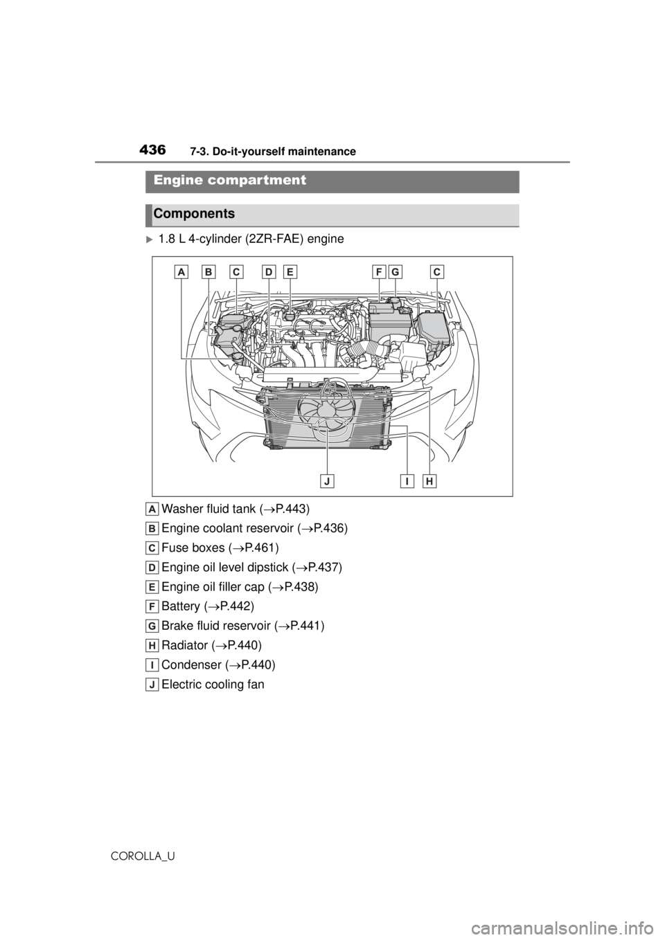 TOYOTA COROLLA 2020 Owners Manual (in English) 4367-3. Do-it-yourself maintenance
COROLLA_U
1.8 L 4-cylinder (2ZR-FAE) engineWasher fluid tank ( P.443)
Engine coolant reservoir ( P.436)
Fuse boxes ( P.461)
Engine oil level dipstick ( TOYOTA COROLLA 2020 Owners Manual (in English) 4367-3. Do-it-yourself maintenance
COROLLA_U
1.8 L 4-cylinder (2ZR-FAE) engineWasher fluid tank ( P.443)
Engine coolant reservoir ( P.436)
Fuse boxes ( P.461)
Engine oil level dipstick (
