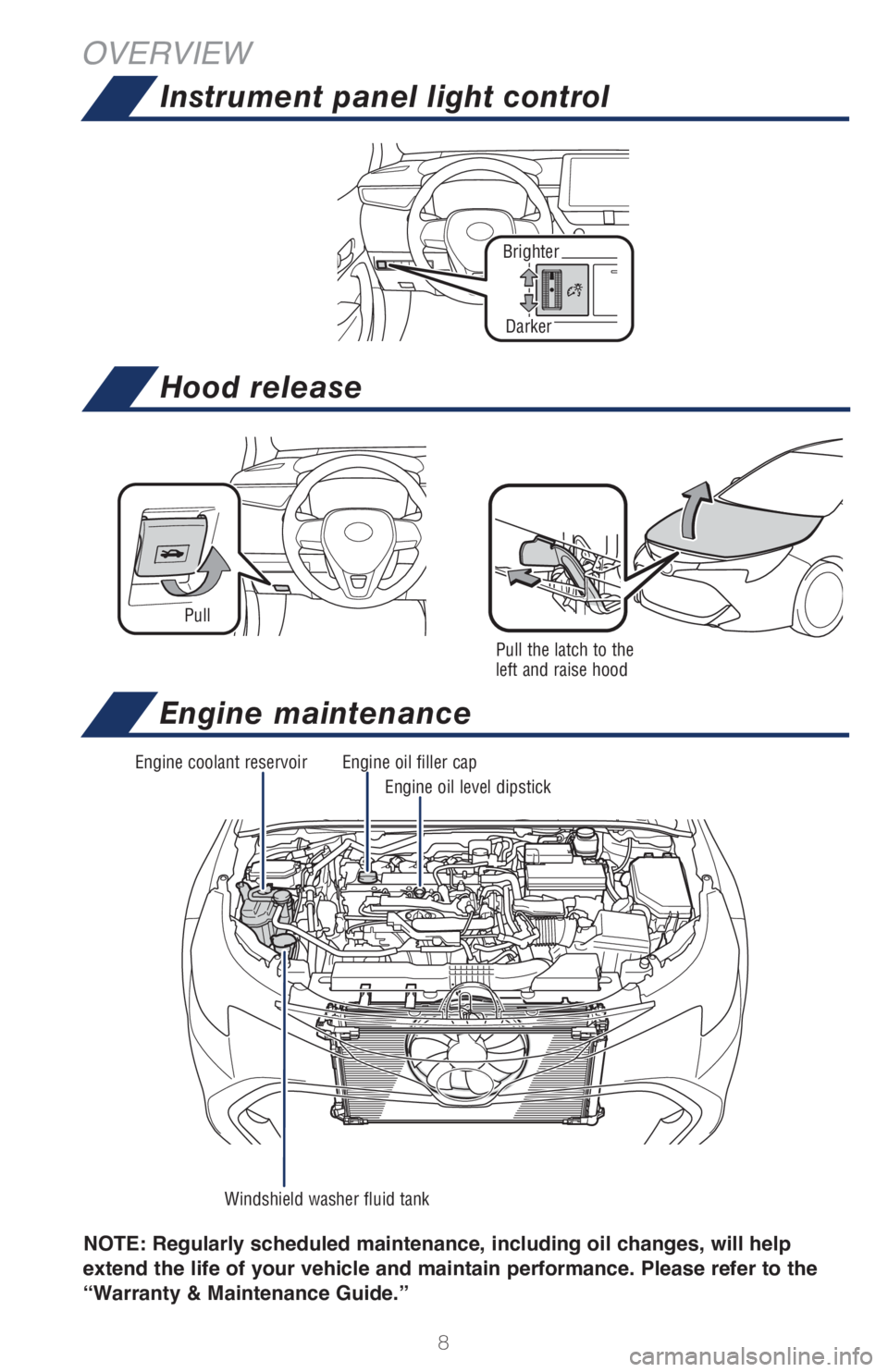 TOYOTA COROLLA HATCHBACK 2021  Owners Manual (in English) 8
Brighter
OVERVIEW
Darker
Instrument panel light control
NOTE: Regularly scheduled maintenance, including  oil changes, will help 
extend the life of your vehicle and maintain performance. Please ref