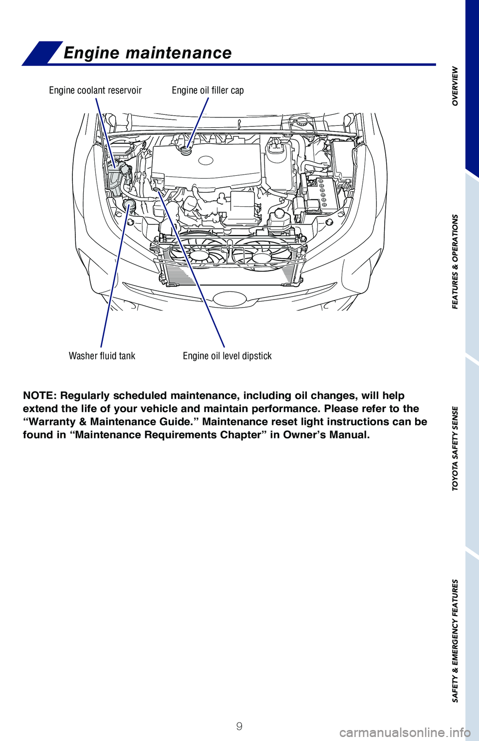 TOYOTA PRIUS 2021   (in English) User Guide 9
OVERVIEW
FEATURES & OPERATIONS
TOYOTA SAFETY SENSE
SAFETY & EMERGENCY FEATURES
Engine maintenance
Washer fluid tankEngine oil level dipstick
Engine coolant reservoirEngine oil filler cap
NOTE: Regul