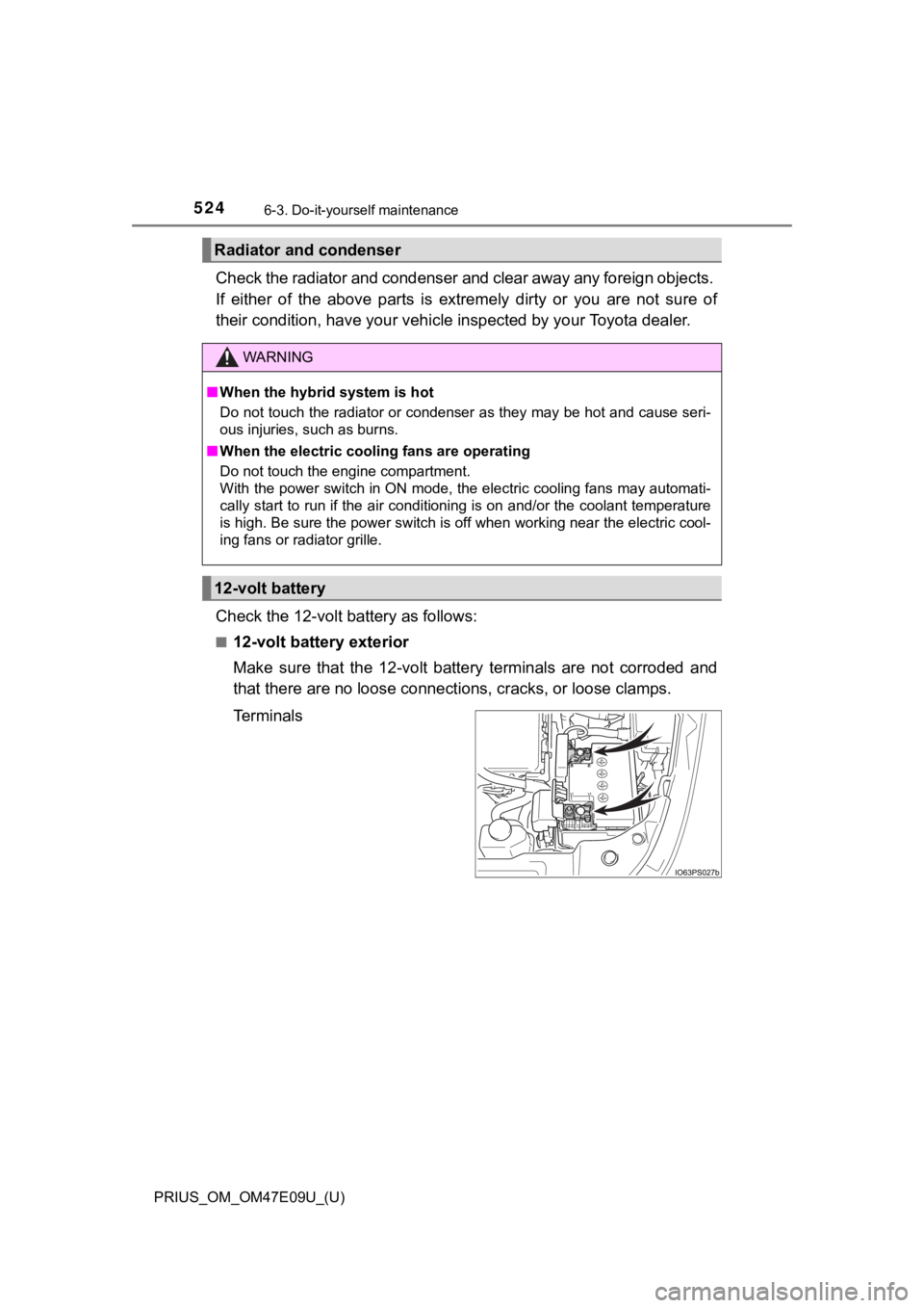 TOYOTA PRIUS 2021 Owners Manual (in English) 524
PRIUS_OM_OM47E09U_(U)
6-3. Do-it-yourself maintenance
Check the radiator and condenser and clear away any foreign objects.
If either of the above parts is extremely dirty or you are n TOYOTA PRIUS 2021 Owners Manual (in English) 524
PRIUS_OM_OM47E09U_(U)
6-3. Do-it-yourself maintenance
Check the radiator and condenser and clear away any foreign objects.
If either of the above parts is extremely dirty or you are n