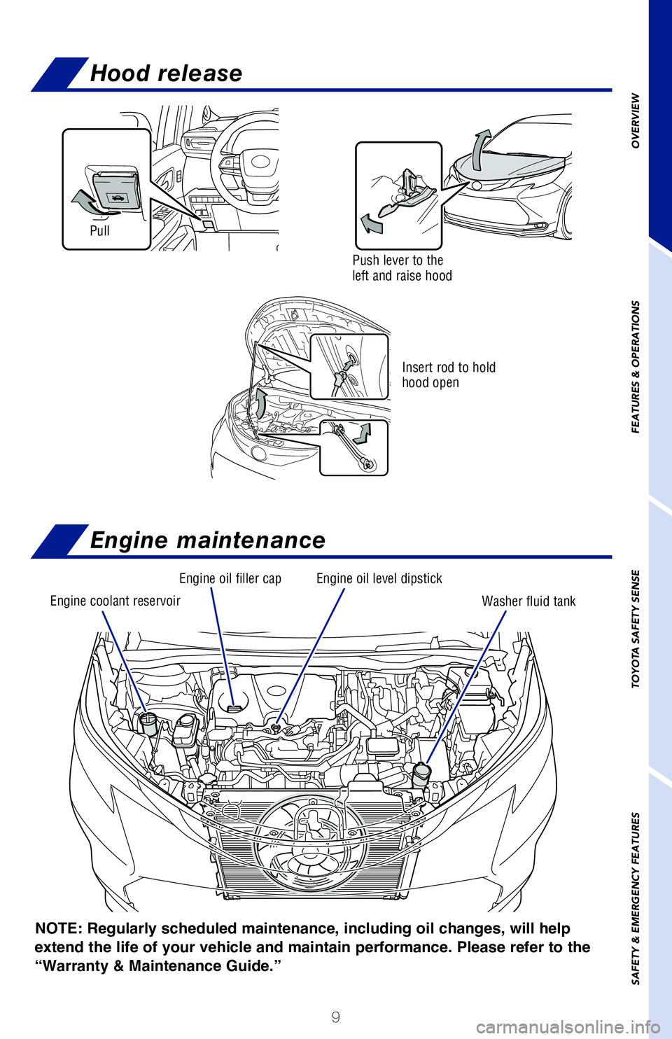 TOYOTA SIENNA HYBRID 2021 (in English) User Guide 9
OVERVIEW
FEATURES & OPERATIONS
TOYOTA SAFETY SENSE
SAFETY & EMERGENCY FEATURES
NOTE: The Smart Key must be carried to enable the start function. With the
shift lever in Park and the brake pedal dep TOYOTA SIENNA HYBRID 2021 (in English) User Guide 9
OVERVIEW
FEATURES & OPERATIONS
TOYOTA SAFETY SENSE
SAFETY & EMERGENCY FEATURES
NOTE: The Smart Key must be carried to enable the start function. With the
shift lever in Park and the brake pedal dep
