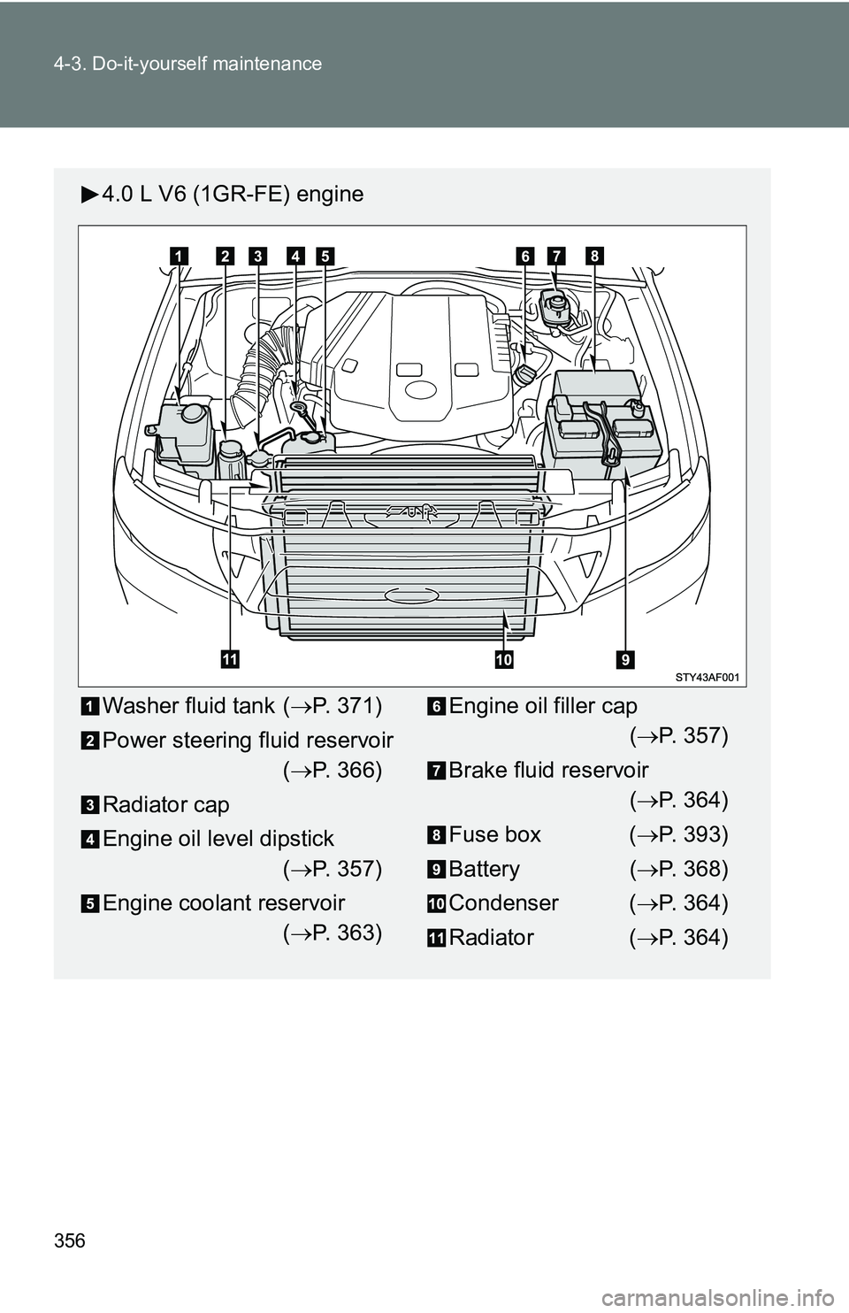 TOYOTA TACOMA 2009  Owners Manual (in English) 356 4-3. Do-it-yourself maintenance
4.0 L V6 (1GR-FE) engine
Washer fluid tank (P. 371)
Power steering fluid reservoir ( P. 366)
Radiator cap
Engine oil level dipstick ( P. 357)
Engine coolan