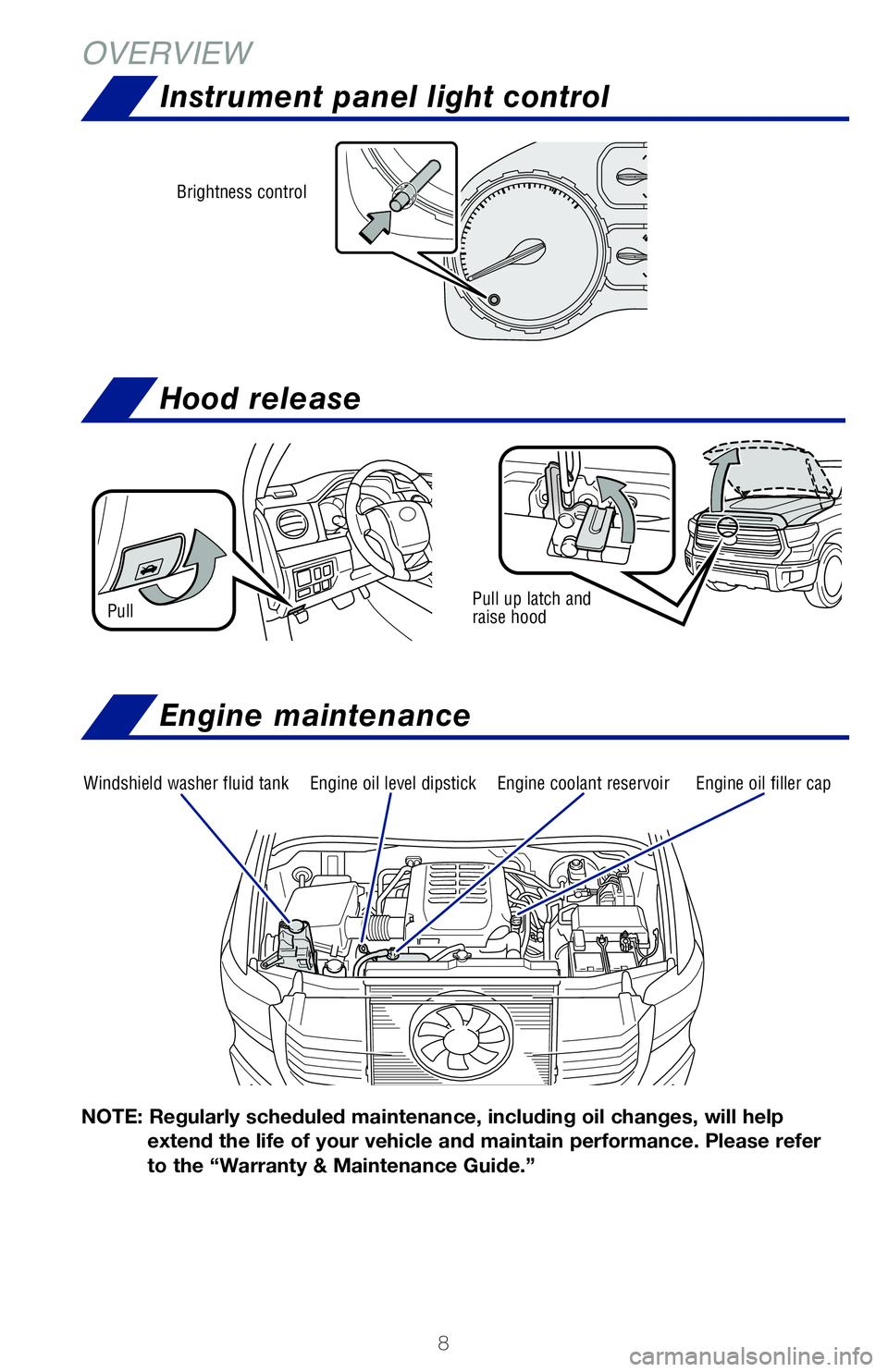TOYOTA TUNDRA 2020  Owners Manual (in English) 8
OVERVIEW
Hood release
Pull up latch and  raise hoodPull
Windshield washer fluid tankEngine coolant reservoirEngine oil filler capEngine oil level dipstick
NOTE: Regularly scheduled maintenance, incl
