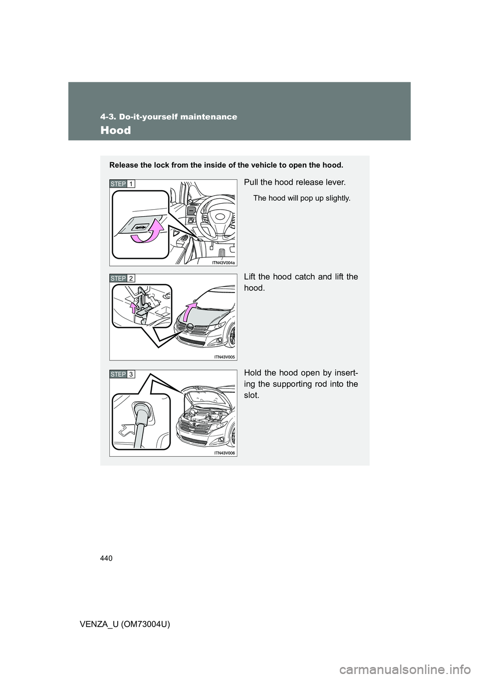 TOYOTA VENZA 2009 Owners Manual (in English) 440
4-3. Do-it-yourself maintenance
VENZA_U (OM73004U)
Hood
Release the lock from the inside of the vehicle to open the hood.
Pull the hood release lever.
The hood will pop up slightly.
Lift the hood TOYOTA VENZA 2009 Owners Manual (in English) 440
4-3. Do-it-yourself maintenance
VENZA_U (OM73004U)
Hood
Release the lock from the inside of the vehicle to open the hood.
Pull the hood release lever.
The hood will pop up slightly.
Lift the hood