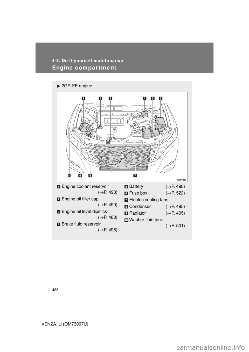 TOYOTA VENZA 2010  Owners Manual (in English) 486
4-3. Do-it-yourself maintenance
VENZA_U (OM73007U)
Engine compar tment
2GR-FE engine
Engine coolant reservoir( P. 493)
Engine oil filler cap ( P. 490)
Engine oil level dipstick ( P. 488)
