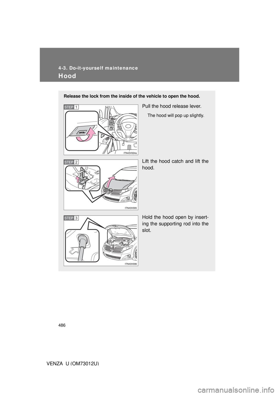 TOYOTA VENZA 2011 Owners Manual (in English) 486
4-3. Do-it-yourself maintenance
VENZA_U (OM73012U)
Hood
Release the lock from the inside of the vehicle to open the hood.
Pull the hood release lever.
The hood will pop up slightly.
Lift the hood TOYOTA VENZA 2011 Owners Manual (in English) 486
4-3. Do-it-yourself maintenance
VENZA_U (OM73012U)
Hood
Release the lock from the inside of the vehicle to open the hood.
Pull the hood release lever.
The hood will pop up slightly.
Lift the hood