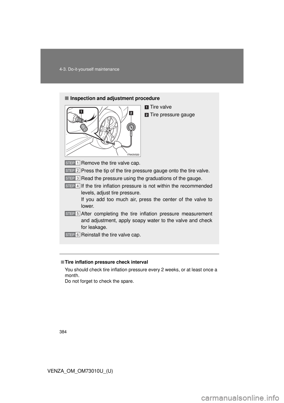 TOYOTA VENZA 2013 Owners Manual (in English) 384 4-3. Do-it-yourself maintenance
VENZA_OM_OM73010U_(U)
.
■Tire inflation pressure check interval
You should check tire inflation pressure every 2 weeks, or at least once a
month.
Do not forget to TOYOTA VENZA 2013 Owners Manual (in English) 384 4-3. Do-it-yourself maintenance
VENZA_OM_OM73010U_(U)
.
■Tire inflation pressure check interval
You should check tire inflation pressure every 2 weeks, or at least once a
month.
Do not forget to