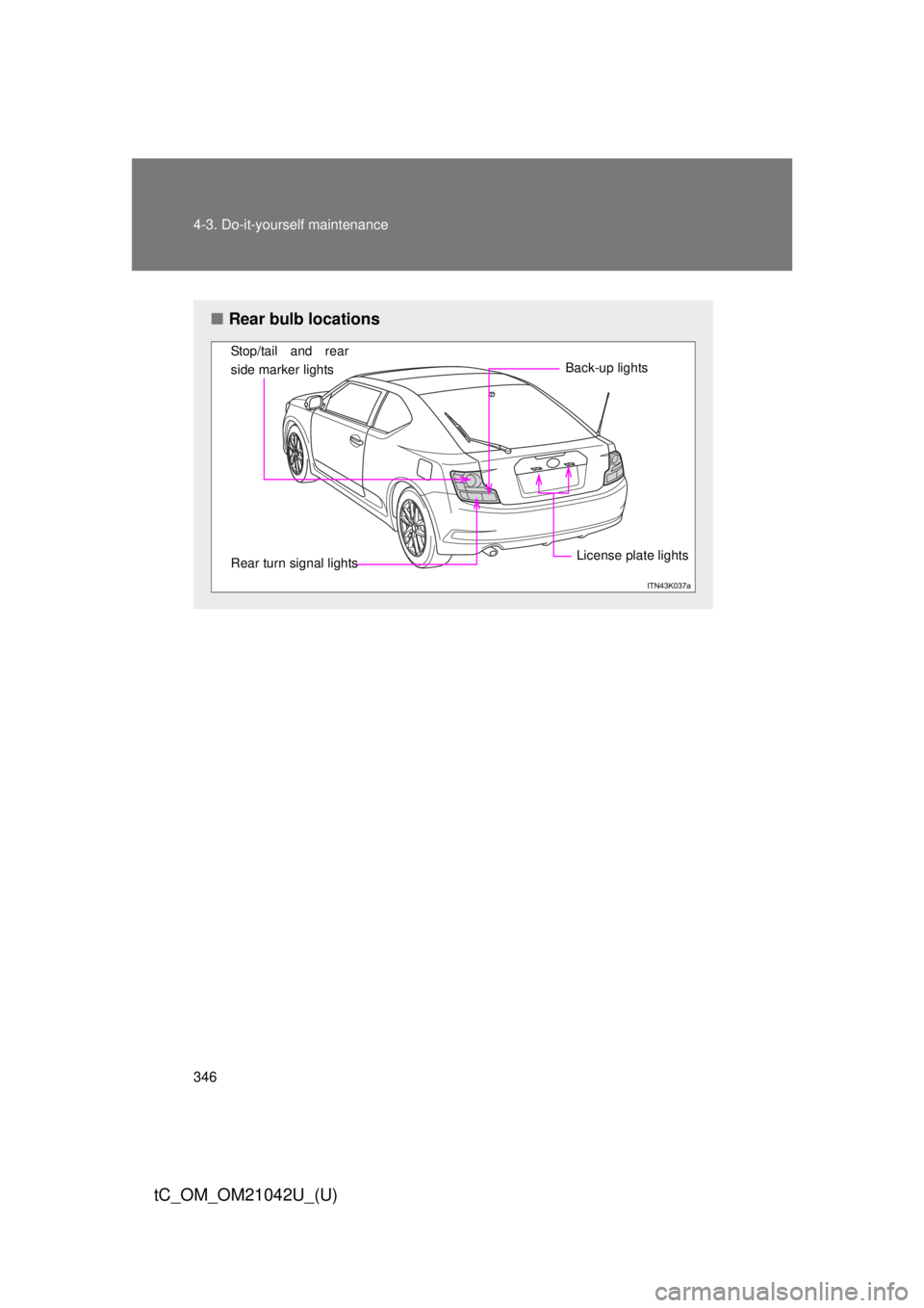 TOYOTA tC 2013  Owners Manual (in English) 346 4-3. Do-it-yourself maintenance
tC_OM_OM21042U_(U)
■Rear bulb locations
Stop/tail and rear 
side marker lights
Rear turn signal lights Back-up lightsLicense plate lights 
