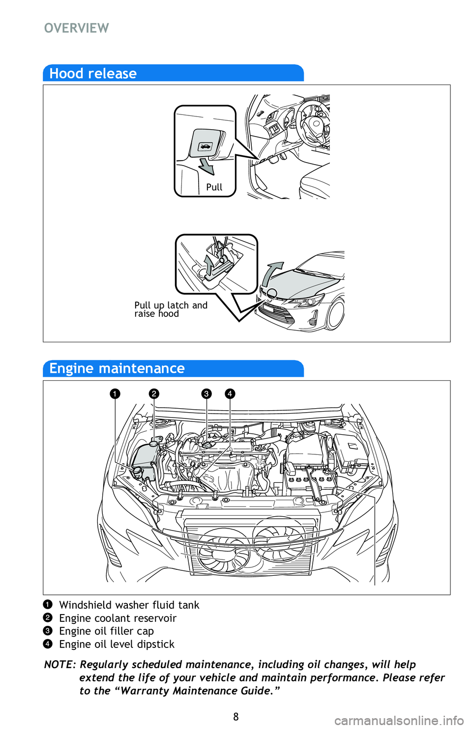 TOYOTA tC 2015  Owners Manual (in English) 8
Engine maintenance
Windshield washer fluid tank 
Engine coolant reservoir
Engine oil filler cap
Engine oil level dipstick
NOTE: Regularly scheduled maintenance, including oil changes, will help 
ext